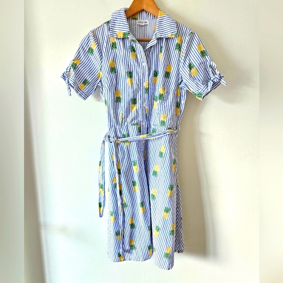 Chloe and Rene pinstriped pineapple button down dress - Picture 1 of 8
